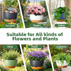Hanging Planters, 3 Pack, Self-Watering, 10 Inch, Green - Image 5