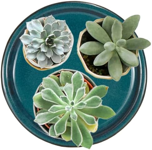 W&W Ceramic Plant Saucer - Plant Trays for Indoor Pots (Teal, 13 inches, 2 Packs) - Image 5