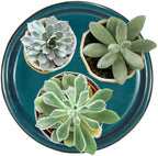 W&W Ceramic Plant Saucer - Plant Trays for Indoor Pots (Teal, 10 inches, 2 Packs) - Image 5