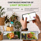 RainPoint 3-in-1 APP Remote Monitoring WiFi Soil Meter - CAN NOT USE Alone - Image 6