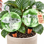 2 Pack 28 oz XXL Extra Large Self Watering Globes to 3+ Weeks Watering by Unknown