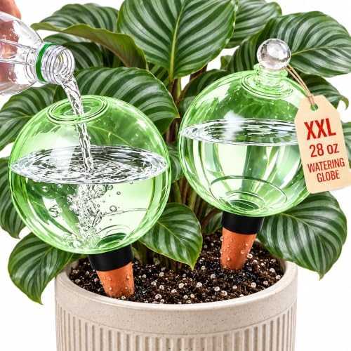 2 Pack 28 oz XXL Extra Large Self Watering Globes to 3+ Weeks Watering by Unknown