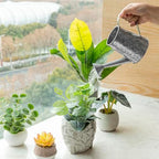 MyGift 5 Inch Mini Rustic Galvanized Metal Decorative Vase in Vintage Style Watering Can Design for Dried Flowers and Artificial Plants - Handcrafted in India (Pack of 2) - Image 5