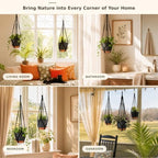 3 Pack Large Hanging Planters for Indoor Plants with Macrame Plant Hangers - Image 4