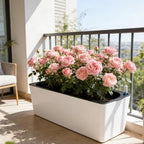 Fenteer Self Watering Planter Plant Pot Container Automatic Water Absorbing Flower Pot PP Material Breathable Detachable Design Suitable for Balcony, 49.4x16.8x17cm - Image 4