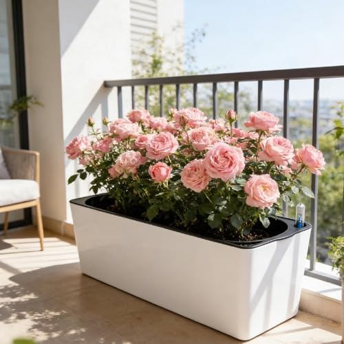 Fenteer Self Watering Planter Plant Pot Container Automatic Water Absorbing Flower Pot PP Material Breathable Detachable Design Suitable for Balcony, 49.4x16.8x17cm - Image 4