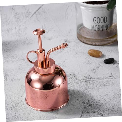 DOITOOL Vintage Stainless Steel Plant Mister with Pump Succulent Watering Bottle for Indoor Gardening Comfortable Grip and Easy Press Trigger Rose Gold Watering Can for Small Plants - Image 2