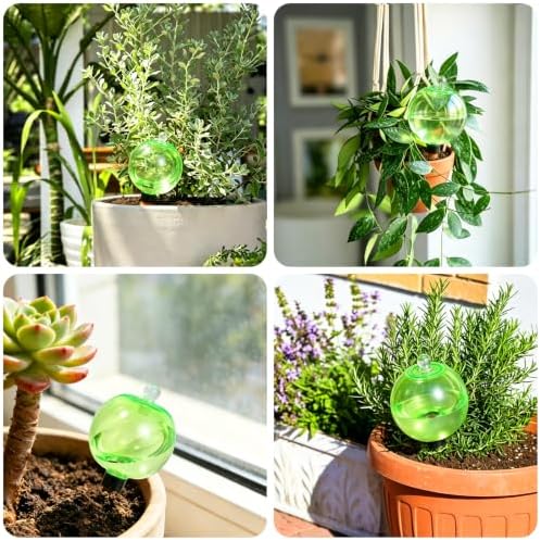 Self Watering Globes – Extra Large, 25.4 fl oz, Terracotta Spikes - Image 6