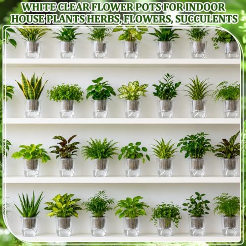 Self Watering Plant Pots, 4.3'', Transparent, 54 Pcs - Image 6