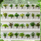 Self Watering Plant Pots, 4.3'', Transparent, 54 Pcs - Image 6