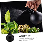 Watering Can and Spray Bottle 500ml Stainless Steel Xmas Black - Image 3