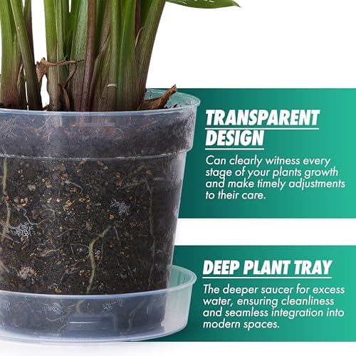 6 Inch Clear Plastic Plant Pot with Drainage Holes, Interlocking & Detachable Tray - Deep Saucer - Durable BPA-Free Plastic, Transparent Design, Raised Base for Airflow, Set of 12, 92-X-B-5 - Image 3