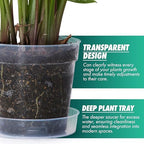 6 Inch Clear Plastic Plant Pot with Drainage Holes, Interlocking & Detachable Tray - Deep Saucer - Durable BPA-Free Plastic, Transparent Design, Raised Base for Airflow, Set of 12, 92-X-B-5 - Image 3
