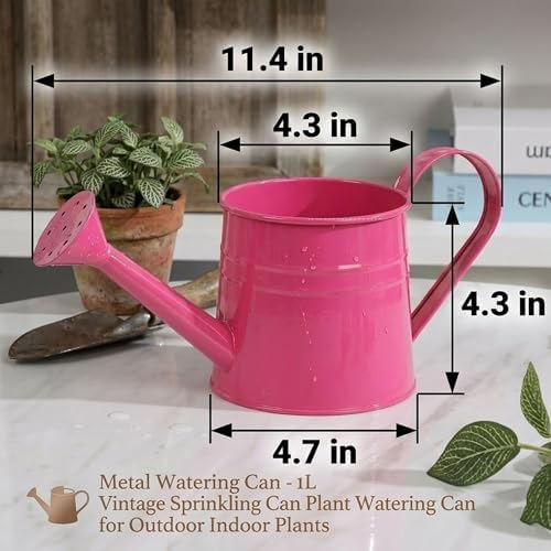 Watering Can Metal, Indoor Plant Watering Can with Long Spout (C2PCS) - Image 5