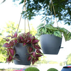 SwinDuck 10 Inch Self Watering Hanging Pots, 2 Pack Hanging Planters with 40oZ Deep Reservior for Indoor Outdoor Plants Flowers, Grey - Image 5