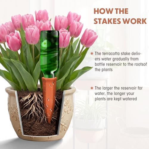 Tatuo 24 Pack Terracotta Watering Spikes Automatic Plant Waterer Devices Outdoor Indoor Use Plant Self Watering Devices Wine Bottle - Image 7