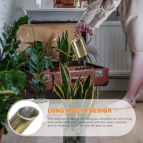 Watering Can Indoor, 1pc Brass Watering can Watering Kettle for Plants gooseneck Watering can Gardening Watering can Vintage Decor Indoor Plant Garden Watering Pot Stainless(41x24.5cm) - Image 2