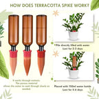 Baderke 24 Pcs 12 Set Plant Watering Devices, Terracotta Watering Spikes with 25 oz Plastic Wine Bottles, Slow Release Vacation Insert Automatic Plant Waterer Devices for Indoor Outdoor - Image 3