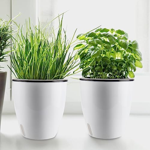 5 Pack 7 Inch Self Watering Plant Pots, White Plastic Self Watering Flower Pots with Visual Water Level Window, Self Watering Planter for Indoor Plants, Herb, African Violet, Succulent - Image 6