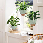 Vanslogreen 12 Inch Hanging Planters for Indoor Outdoor Plants, Self Watering Hanging Pot with Drainage Holes & Removable Tray, Macrame Plant Hanger for Boho Home Decor (Ivory+White) (Ivory+Green) - Image 6