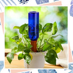 SiliFine 6 Sets Terracotta Watering Spikes,Blue Green and Terracotta - Image 7