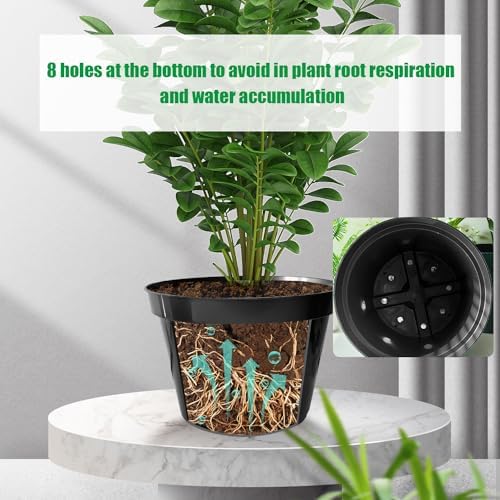 RooTrimmer 10 Inch Plastic Nursery Pots for Plants 10 Pack Plant Pots with Drainage Holes 2 Gallon Nursery Pots Perfect for Indoor Outdoor Plants Such as Herbs, Strwaberrys and Flowers, Black - Image 2