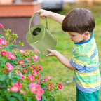 Plant Watering Can, 50 oz / 1500 ml Stainless Steel Metal - Modern Decorative with Long Spout for Indoor Potted Plants, Bonsai, Garden Flowers, Saga Green - Image 7