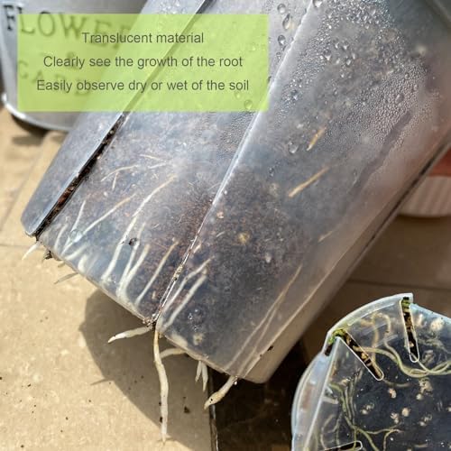 24 pcs 6/5 inch Clear Nursery pots for Plants Saucers,5/6 inch Clear Heavy pots with Side Vents for Reporting Orchids,Aroid,Monstera, Indoor & Outdoor use - Image 5