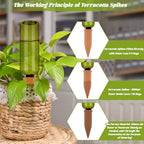 TINSKY 6 Sets Plant Watering Devices Terracotta Self Watering Spikes and 26 Oz Plastic Green Bottles Slow Release Vacation Plant Waterer Automatic Planter Insert for Indoor Outdoor Plants - Image 3