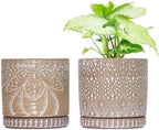 6 Inch Indoor Plant Pots with Drainage Holes and Saucers, Ceramic Planter for Plants, Flower Pot - Set of 2 by YFFSRJDJ
