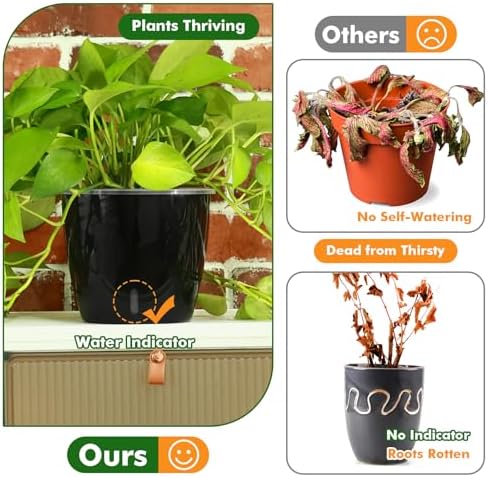 Planterhoma 6.7 Inch Self Watering Pots for Indoor Plants, 8 Packs Self Watering Planters for Orchid, Spider Plant, Devil's Ivy & African Violet, Water Indicator & Black Wick Pots, Black - Image 2