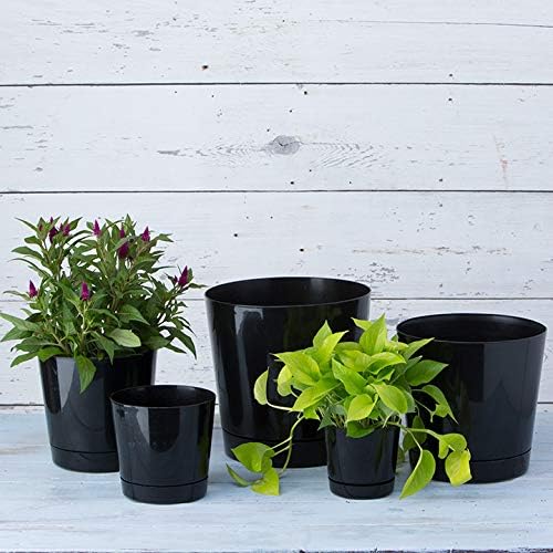 Novelty Root & Vessel Majestic Full Depth Round Cylinder Pot, Glossy Black, 14-Inch (10148) - Image 5