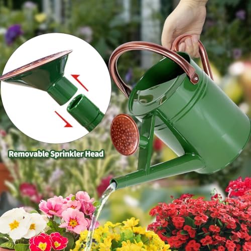 1 Gallon Metal Watering Can with Removable Spout, Nice Galvanized Steel Water Can for Indoor and Outdoor Plants (House Plants) - Image 3