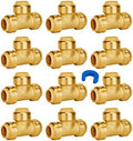 SUNGATOR 12-Pack 3/4 Inch Tee, Push-to-Connect Plumbing Fittings, Brass by SUNGATOR