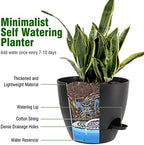 UOUZ Large Self Watering Pots, 12/10/9 Plastic Planters with High Drainage Holes and Deep Reservoir for Indoor Outdoor Garden Plants and Flowers, Black - Image 3