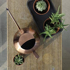 Aramox Watering Can, Stainless Steel Long Spout Watering Can 1L Bronze, No Leak Ergonomic Handle Smooth Edge, for Indoor Houseplants Outdoor Garden Flowers Potted Plants (Bronze) - Image 6