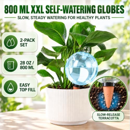 2 Pack 28 oz XXL Extra Large Self Watering Globes to 3+ Weeks Watering - Image 4