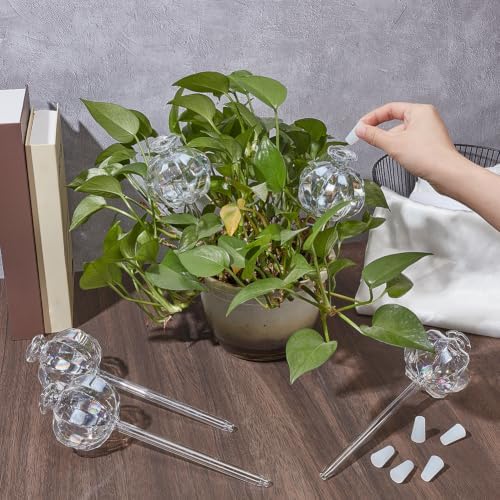 AHANDMAKER 6 Pack Cactus Shaped Glass Plant Self Watering Globes Automatic Mini Irrigation System for Potted Plants Indoor Outdoor Garden Office Decoration Gift for Plant Lovers - Image 3