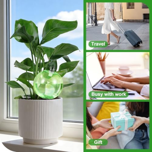 2 Pack 28 oz XXL Extra Large Self Watering Globes to 3+ Weeks Watering - Image 7