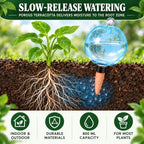 2 Pack 28 oz XXL Extra Large Self Watering Globes to 3+ Weeks Watering - Image 5
