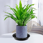 2 Pack Plant Saucer Drip Tray 17 inch, Large Heavy Sturdy Plastic Planter Flower Pot Saucers for Indoor Outdoor Garden, Plant Water Drip Trays for pots (17" 2Pack, Black) - Image 4