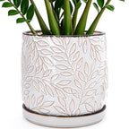 D'vine Dev Embossed Leaves Ceramic Planter, 10 in, Smoked White, 27-A-P-1 by DvineDevPlanterPotsandStand
