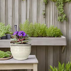 African Violet Pots Self Watering White 6 inch - Image 5
