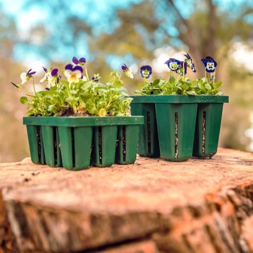 Vego garden Seedling Suite Products, 8 Pack Standard Seedling Trays with 10" x 20" Bottom Watering Trays - Image 5