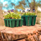Vego garden Seedling Suite Products, 8 Pack Standard Seedling Trays with 10" x 20" Bottom Watering Trays - Image 5