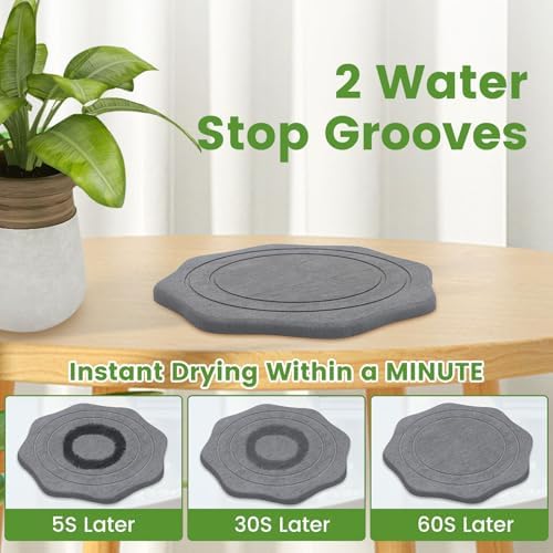 Plant Saucer for Indoors, 2 Packs 8 12 inch, Diatomaceous Earth Pot Saucers No Holes, Instant Dry Plant Drainage Trays for Pots, Dark Gray - Image 2
