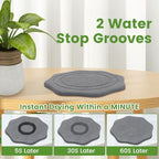 Plant Saucer for Indoors, 2 Packs 8 12 inch, Diatomaceous Earth Pot Saucers No Holes, Instant Dry Plant Drainage Trays for Pots, Dark Gray - Image 2