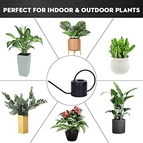 Remiawy Watering Can Indoor Outdoor Stainless Steel Watering Cans for House Plants Long Spout Water Can for Succulent Bonsai Garden Flower(40oz/1300ml) - Image 4