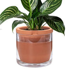 D'vine Dev Self Watering Terracotta Planter Pot, 8 in, 37-X-C-1 by DvineDevPlanterPotsandStand