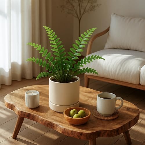 Phoenix Vine 6 Inch Planter Pot with Drainage Hole & Saucer, Deep Water Catch Tray, Straight Cylindrical Round Pot for Plants, Oatmeal, Pack of 3, 23-E-S-3 - Image 5
